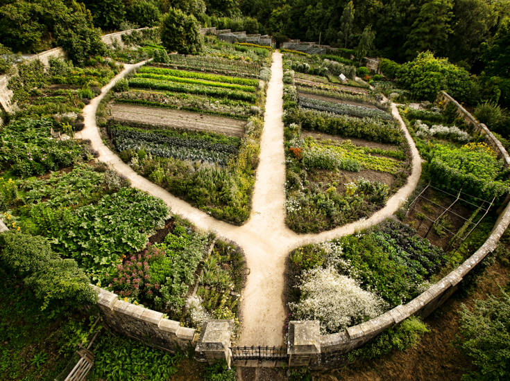 Kitchen Garden