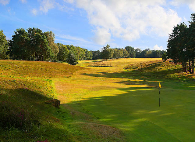 The Royal Ashdown Forest Golf Club