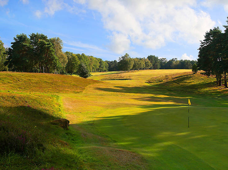 The Royal Ashdown Forest Golf Club