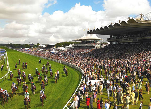 Goodwood Racing.jpg