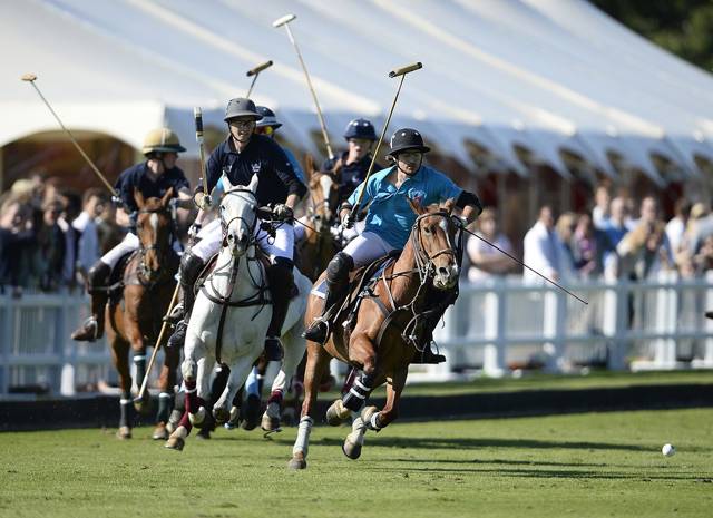Polo 2.jpg