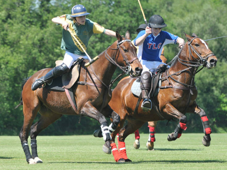 Polo.jpg