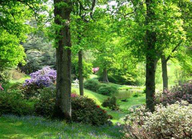 High Beeches.jpg