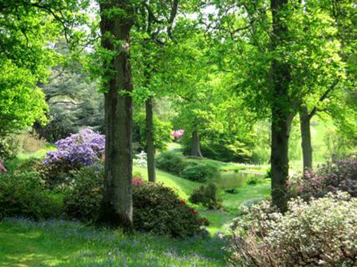 High Beeches.jpg