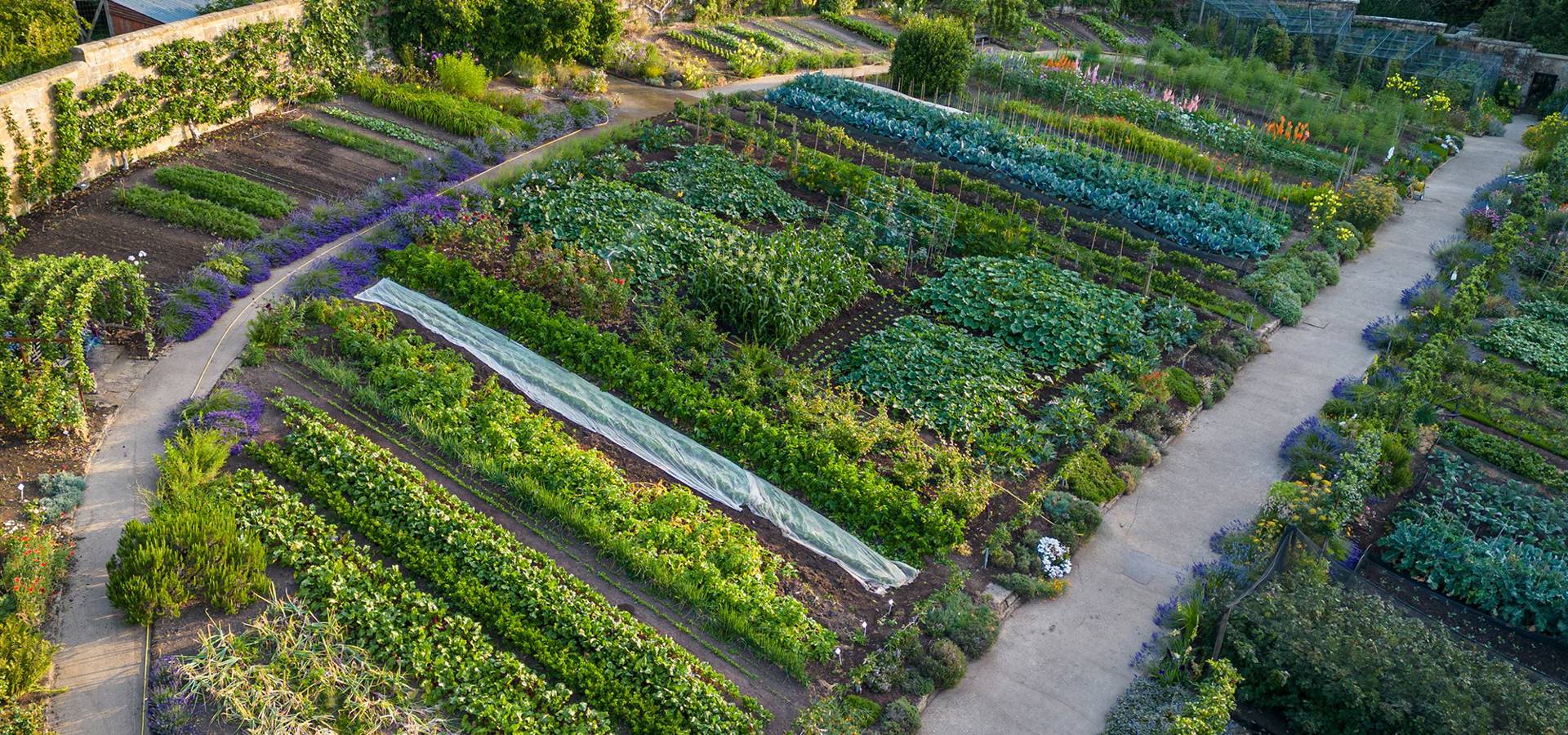 Picture of the gardens